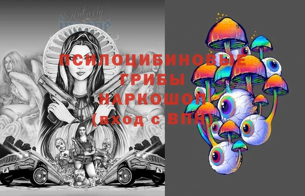 стаф Баксан