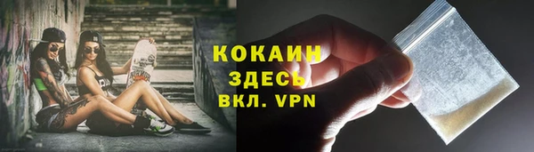 стаф Баксан