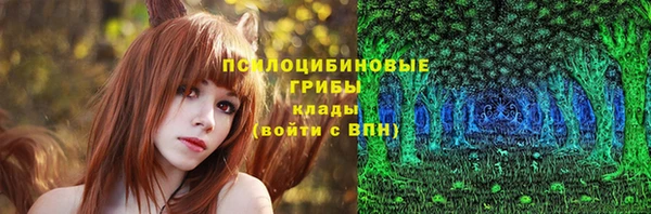 стаф Баксан