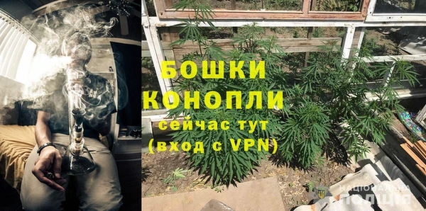 стаф Баксан