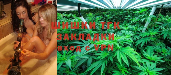 тгк Балахна