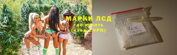 стаф Баксан