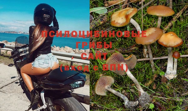 тгк Балахна