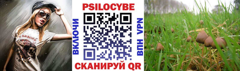 Галлюциногенные грибы ЛСД  где продают   Горнозаводск 